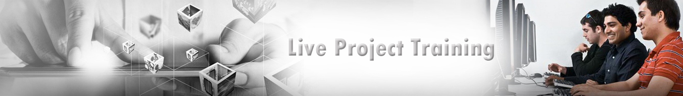 Live Project Training